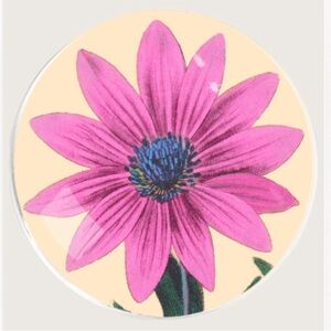 Ben’s Garden Glass Plate Decoupage Pink Floral Gerber Daisy round dish NEW